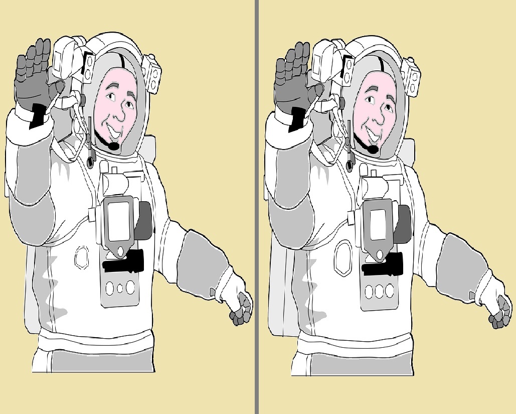 Тест автора с векторами из pixabay. com