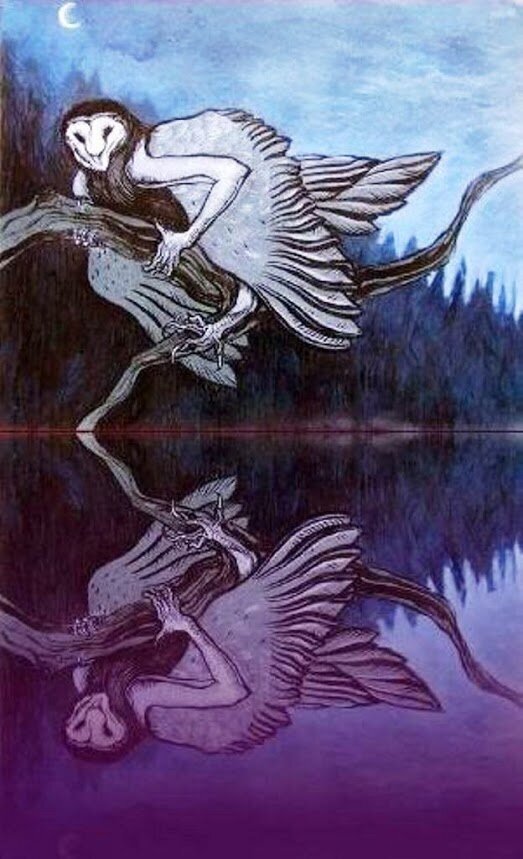 (Изображение из Яндекса)