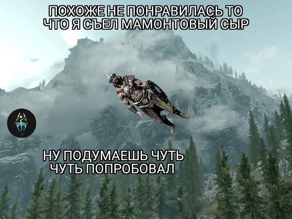 The Elder Scrolls Skyrim: мемы, приколы, арты