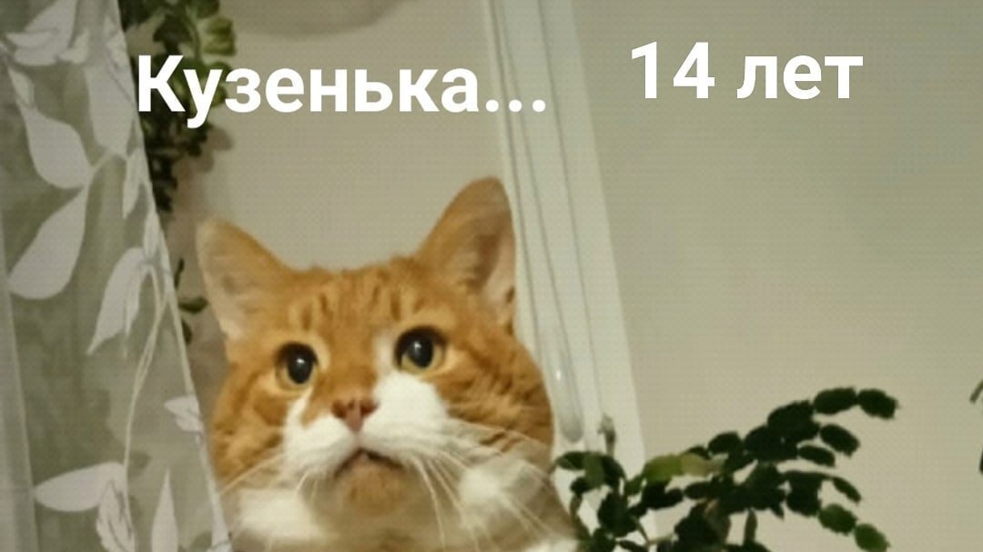 из открытых источников