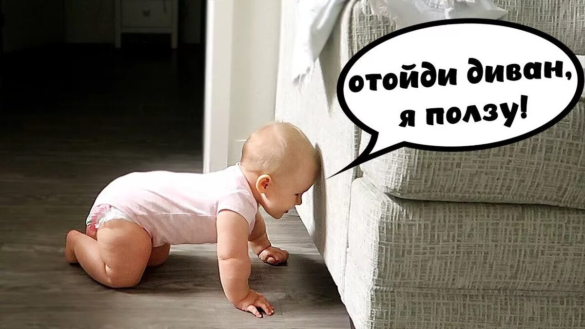 Эх, нам такой встречи с диваном, ещё ждать и ждать🥺 фото из открытых источников. 