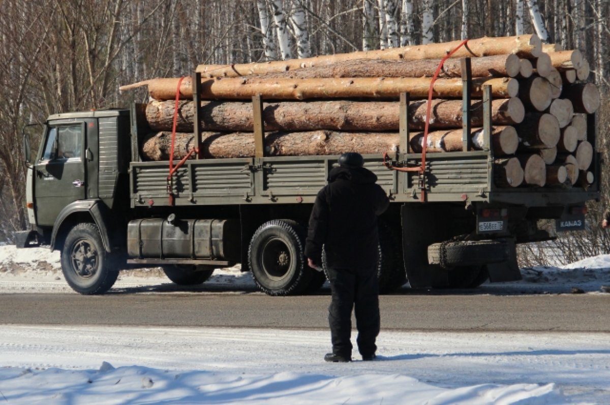 Владимир Мазур поручил обеспечить дровами жителей Томской области | АиФ- Томск | Дзен