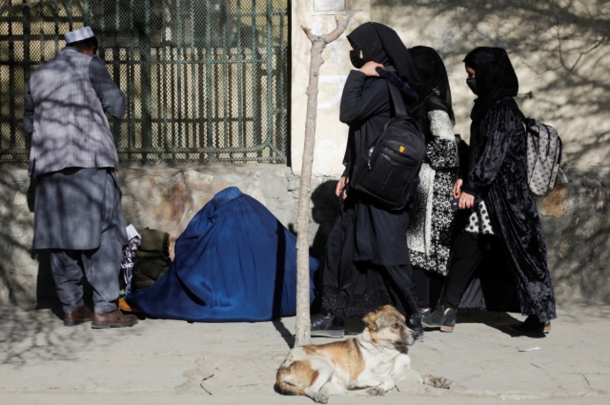    Талибы запретили сотрудникам женского пола находиться в университетах