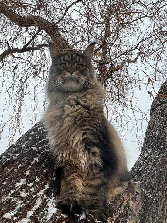     Фото: ТГК Олега Костина