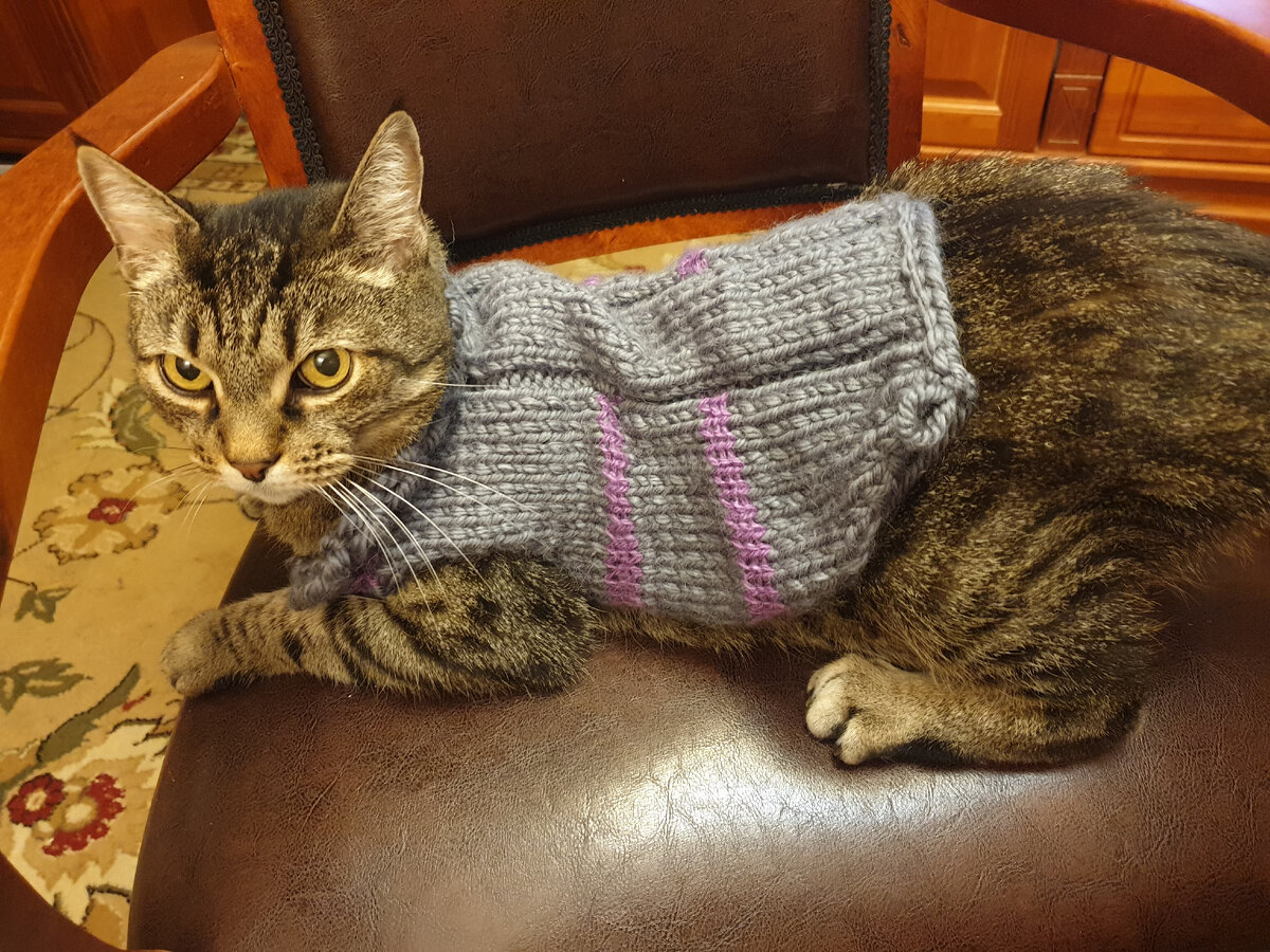 Жаль, что не получилось.