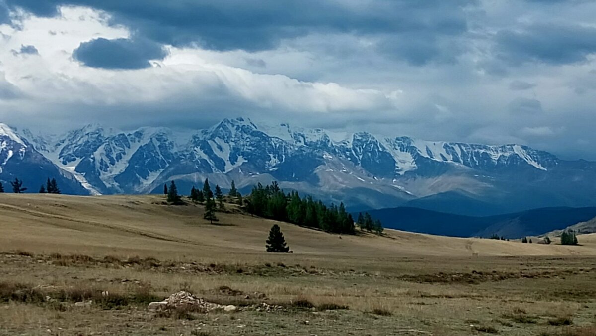 Курайская степь горный Алтай