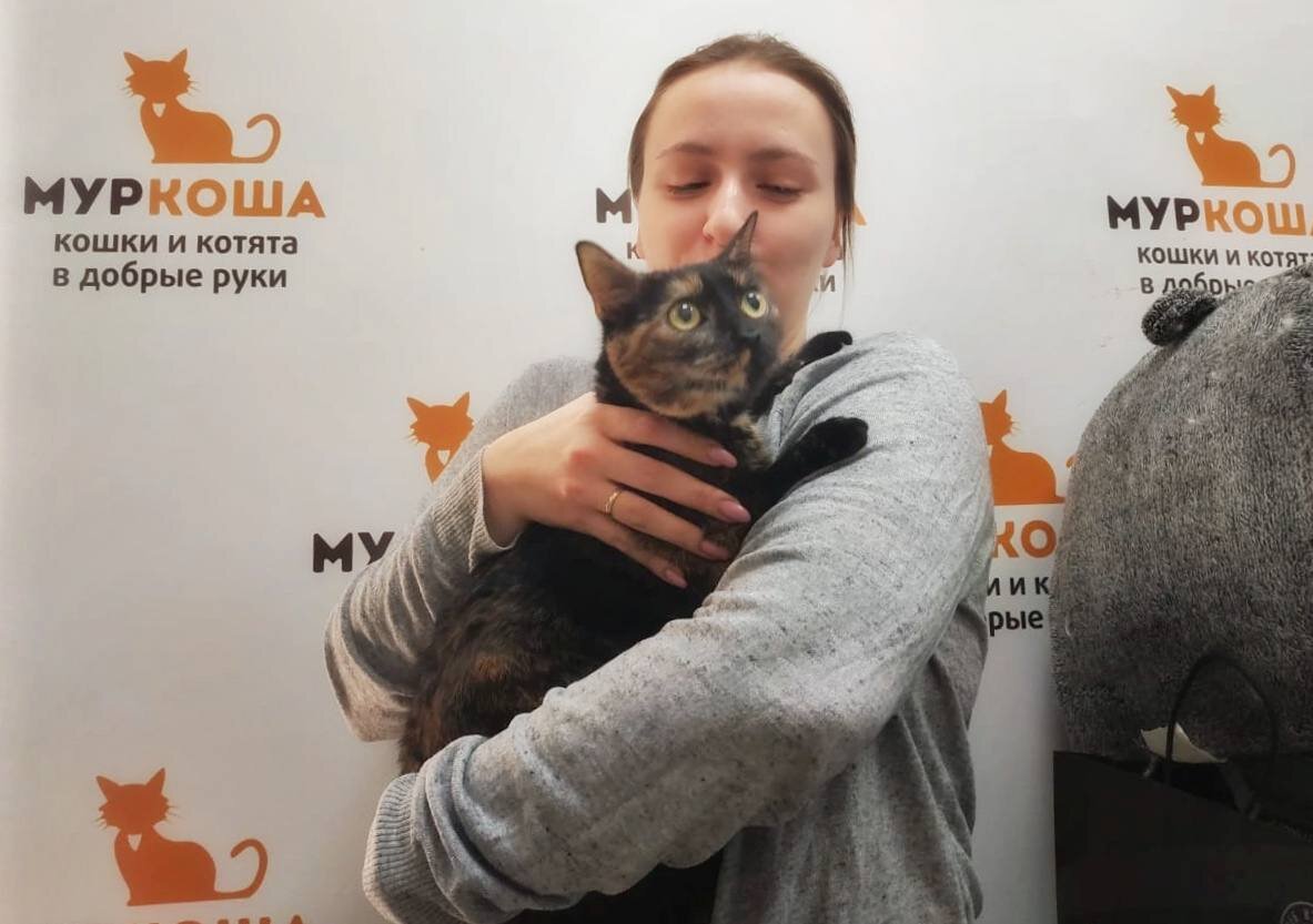 Кота в каждый дом! | Центр помощи кошкам «Муркоша» | Дзен