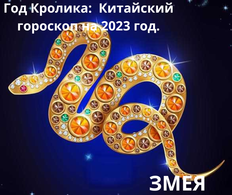 ЗМЕЯ В 2023 ГОДУ КРОЛИКА. ГОРОСКОП. 
