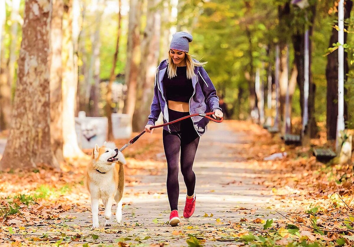 Фото из свободных источников