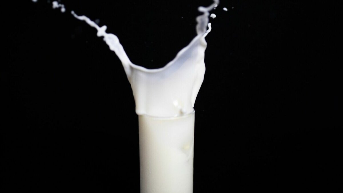     Сотрудники Россельхознадзора выявили факт реализации молочной продукции, произведенной из сырья неустановленного происхождения.