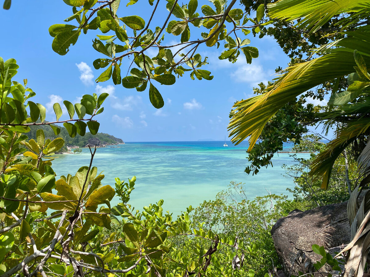 24 причины выбрать курорты на Сейшелах