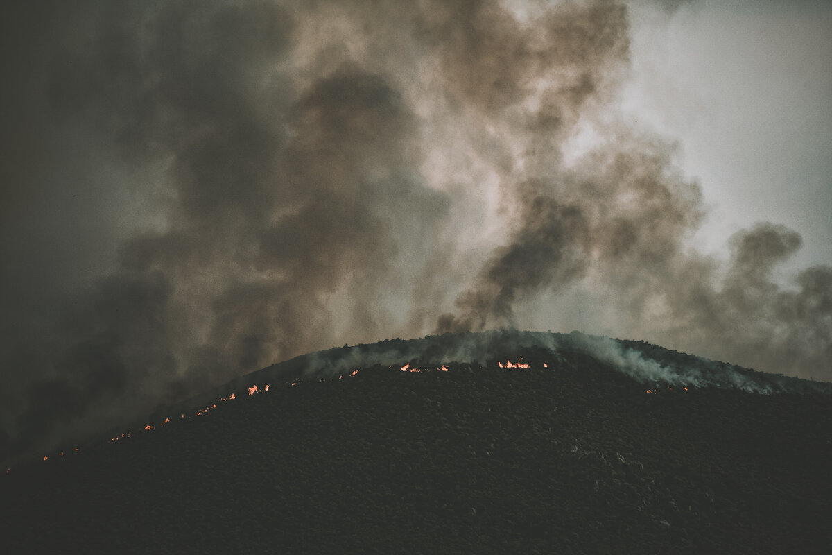 Photo by Tim Mossholder on Unsplash