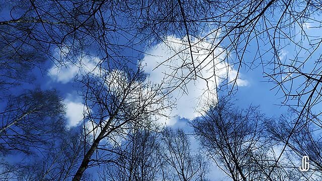Народные приметы 12 февраля. Февральское небо. Красивые фото февральского неба. Васильев день. Февральское небо картинки.