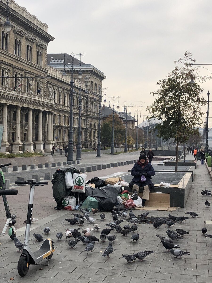 Кстати, некоторые описывают жизнь в Европе примерно такой))) это фото я сделала, когда была в Будапеште, эта женщина каждый день гуляла здесь и кормила голубей 
