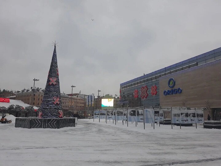 Рига. Зима 2018 - 2019. Первый снимок, который я сделала после того, как мне посоветовали встать на костыли. 