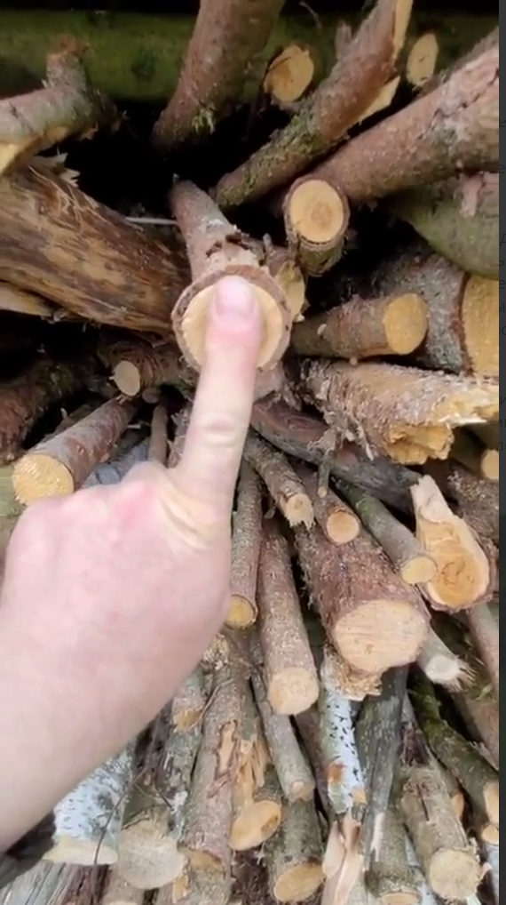 скриншот видео