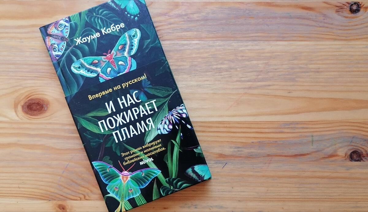 Книжные покупки мая и июня-2023 | Ариаднина нить | Книги | Дзен