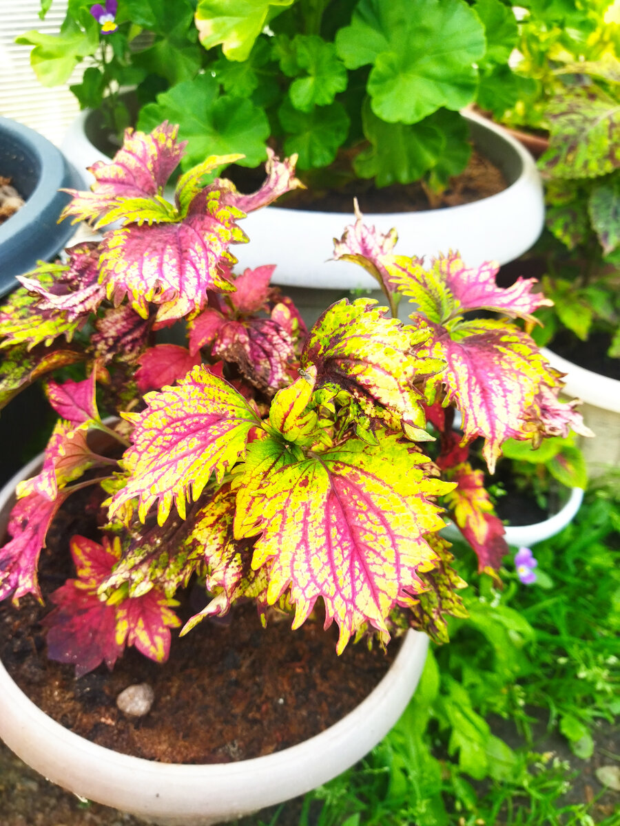 Русская парча