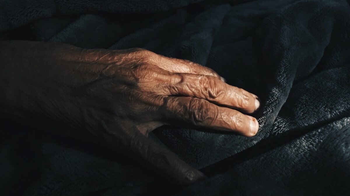    Фото: Unsplash Август Макаров