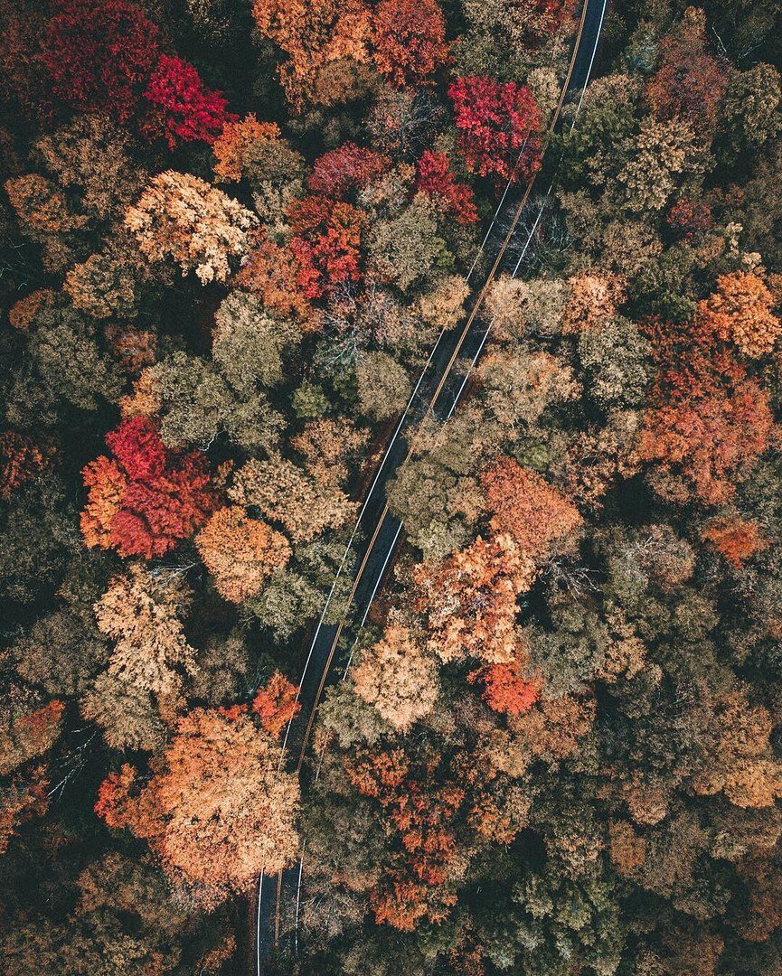 Красивая осень