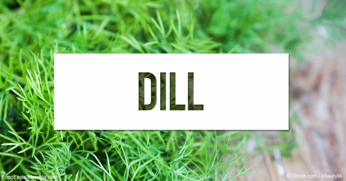 Dill перевод