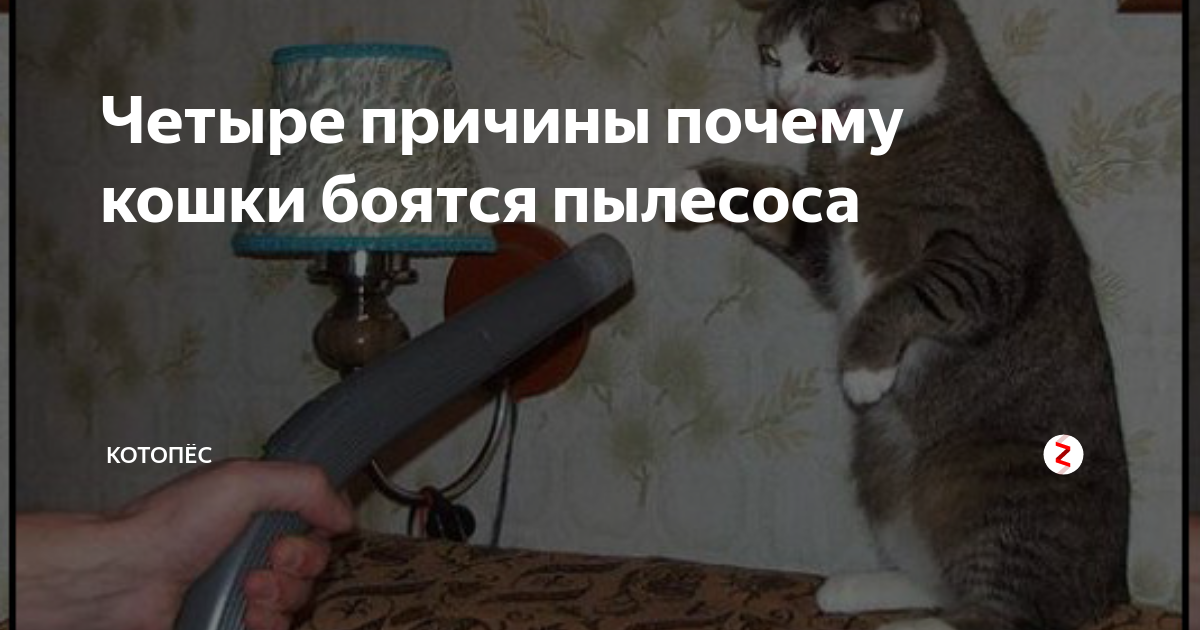 Поставьте диагноз