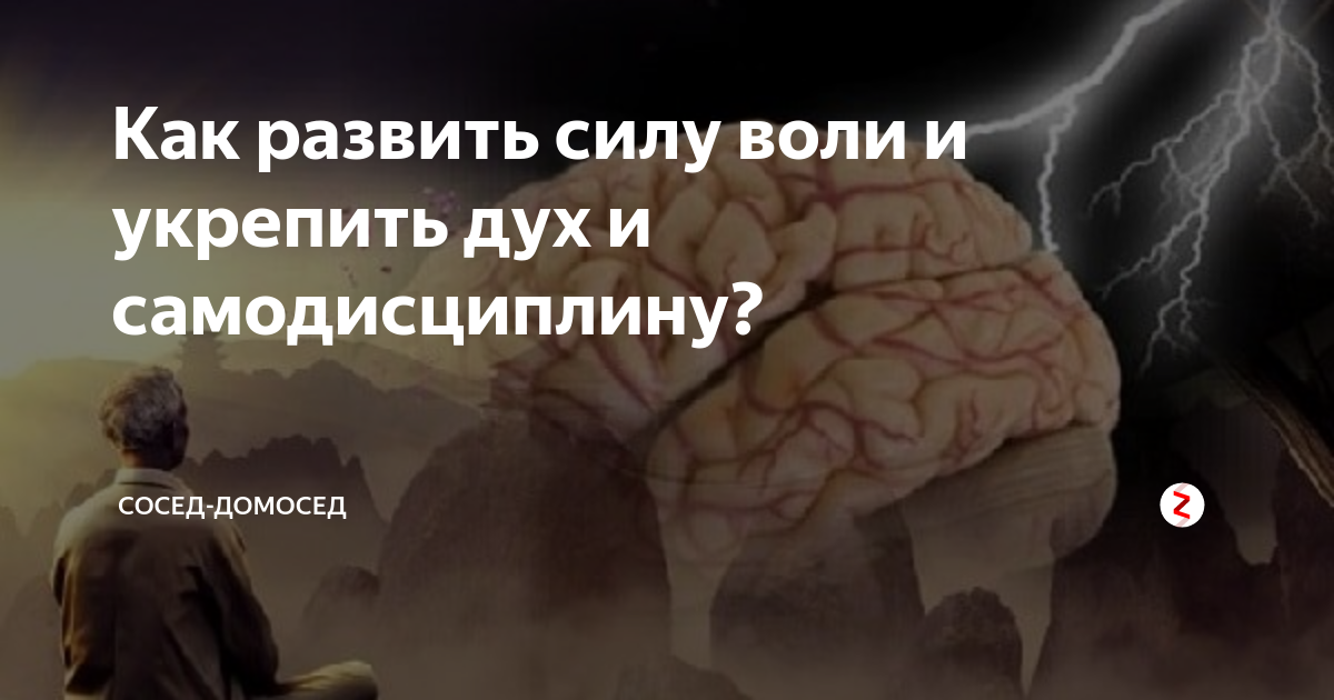 Как развить силу воли и укрепить дух и самодисциплину? | Сосед-Домосед ...