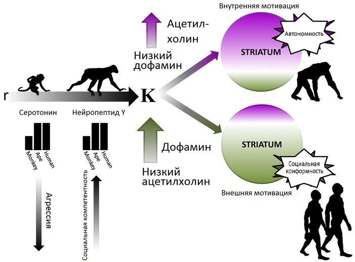 Источник: https://goo.gl/WEf5tf