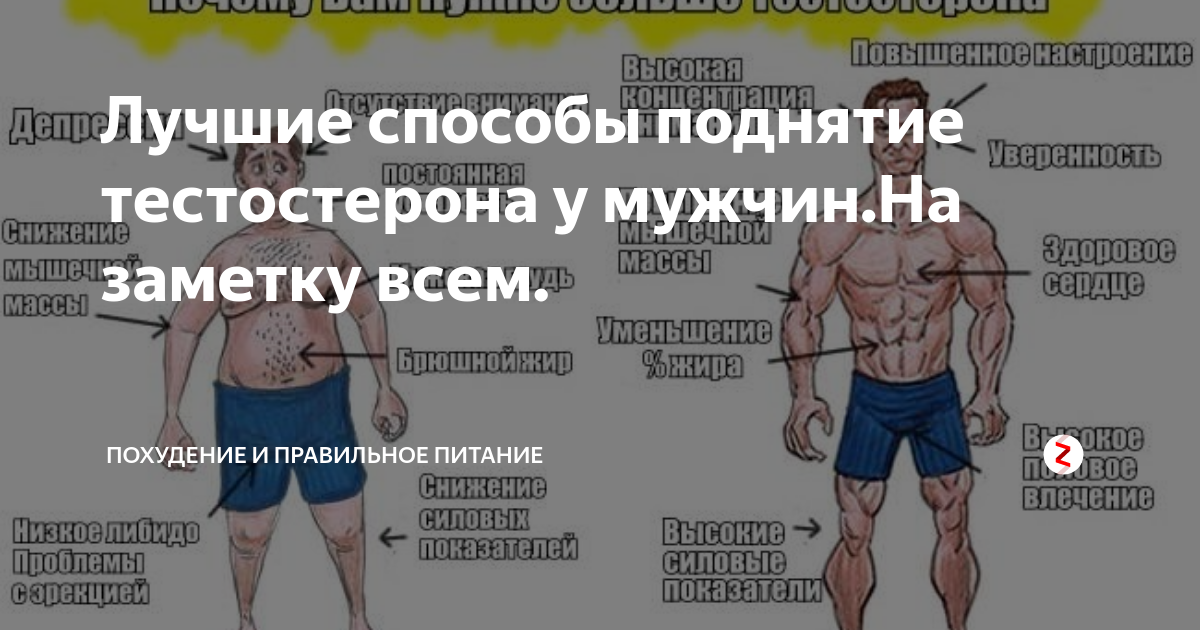 Повышенный тестостерон у мужчин. Низкий тестостерон у мужчин. Повышение уровня тестостерона у мужчин.