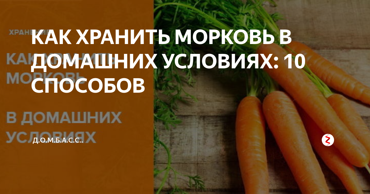 как хранить морковь и свеклу в домашних условиях