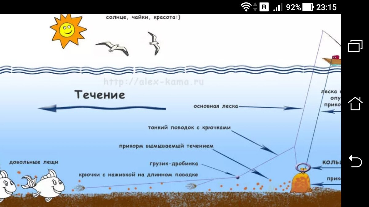 Ловля на кольцо законна?