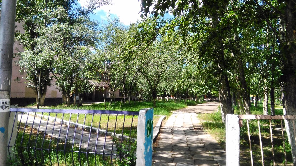 школа 8 краснокаменск