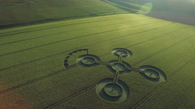 Фото:  Matthew Williams
