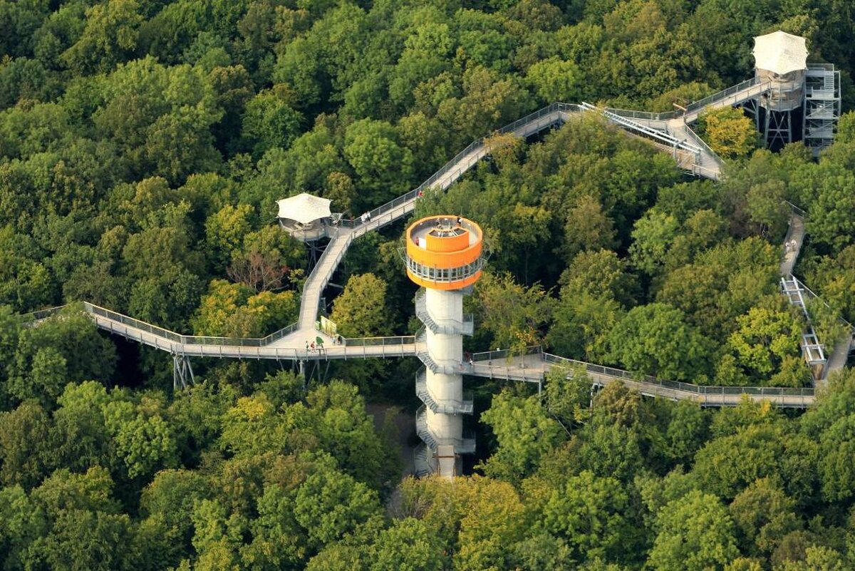 Baumkronenpfad Hainich находится в Национальном парке Хайнич. Это очень обширные территории. А сама тропинка среди деревьев протянулась на 530 метров в длину и постепенно поднимается до 24 метров в высоту.