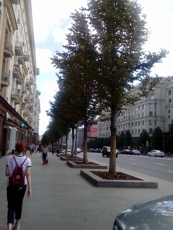 Тверская улица. "Бродвей" превратился в Унтер-ден-Линден в его исходном значении. Фото автора.