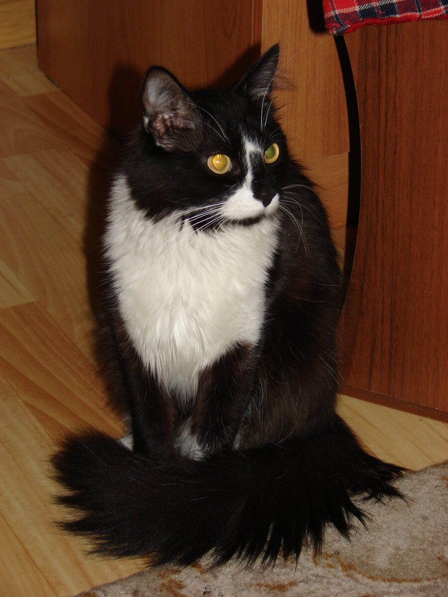 а вот и Маша!