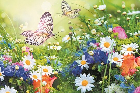 фото взято с просторов инета. Благодарю автора за снимок.