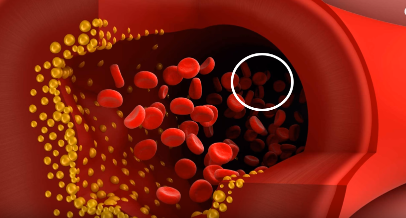 Источник: https://youtu.be/CycEgtkXxyY