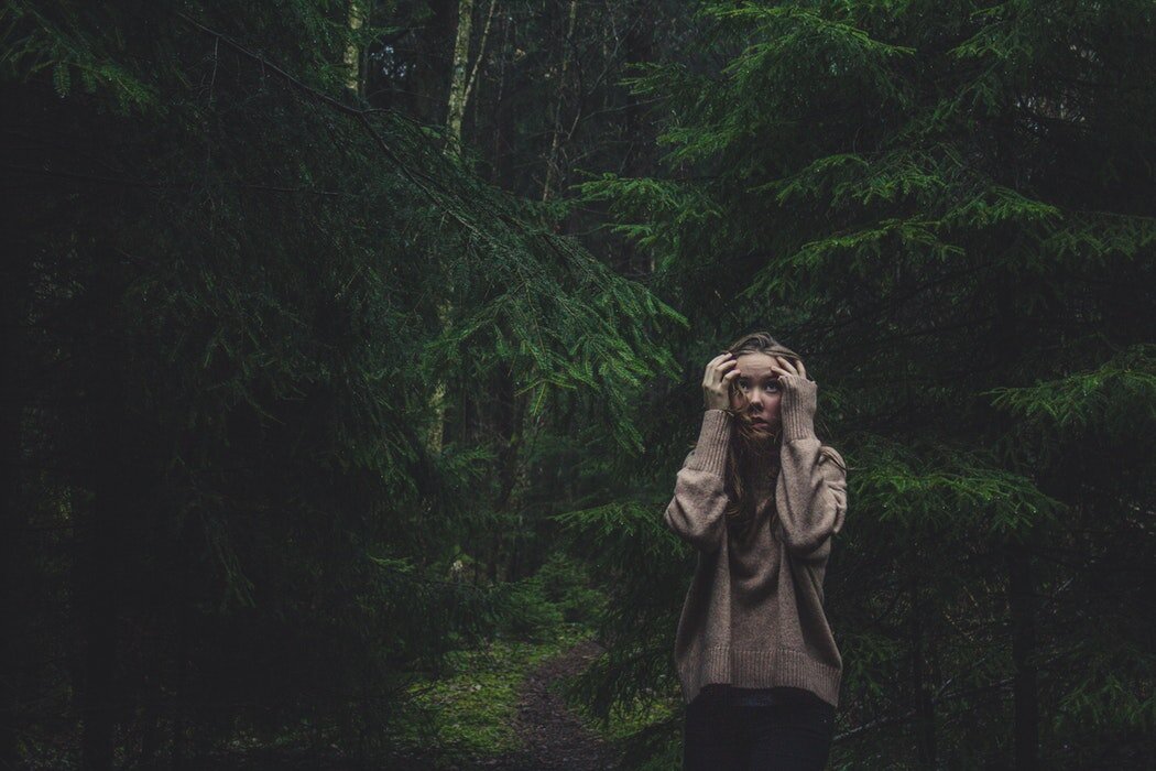 Источник фото: unsplash.com