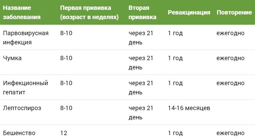 Прививки собакам по возрасту таблица йоркширский терьер