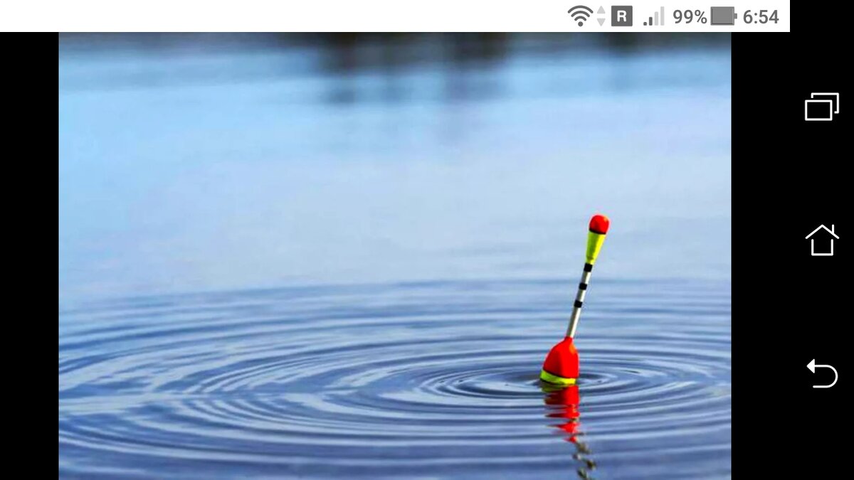 фото поклевки поплавка при ветре и волне