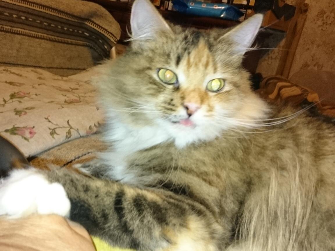 - Это я, - Кукуня