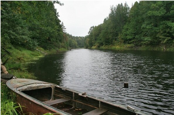 Плес на реке фото