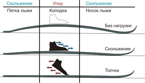 Смазка для лыж: как нанести в домашних условиях