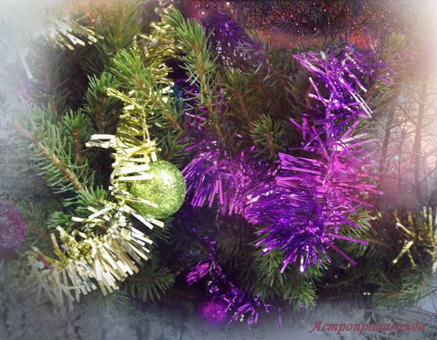 Коллаж Нины Стрелковой.