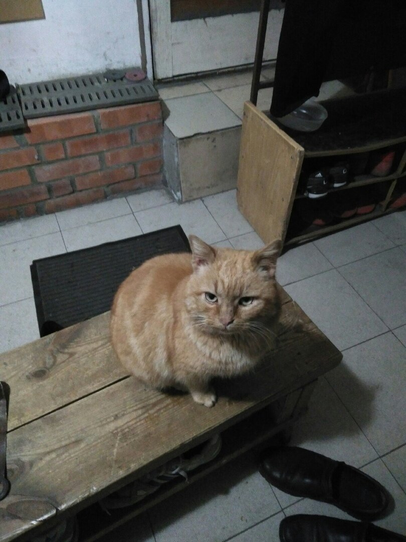 Даже запрыгнул ближе