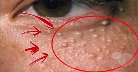 изображение взято с сайта https://www.pinterest.ru/