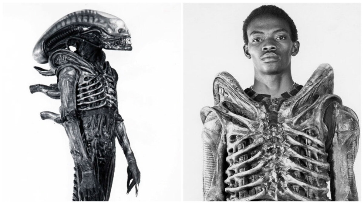 Иллюстрация fishki.ne