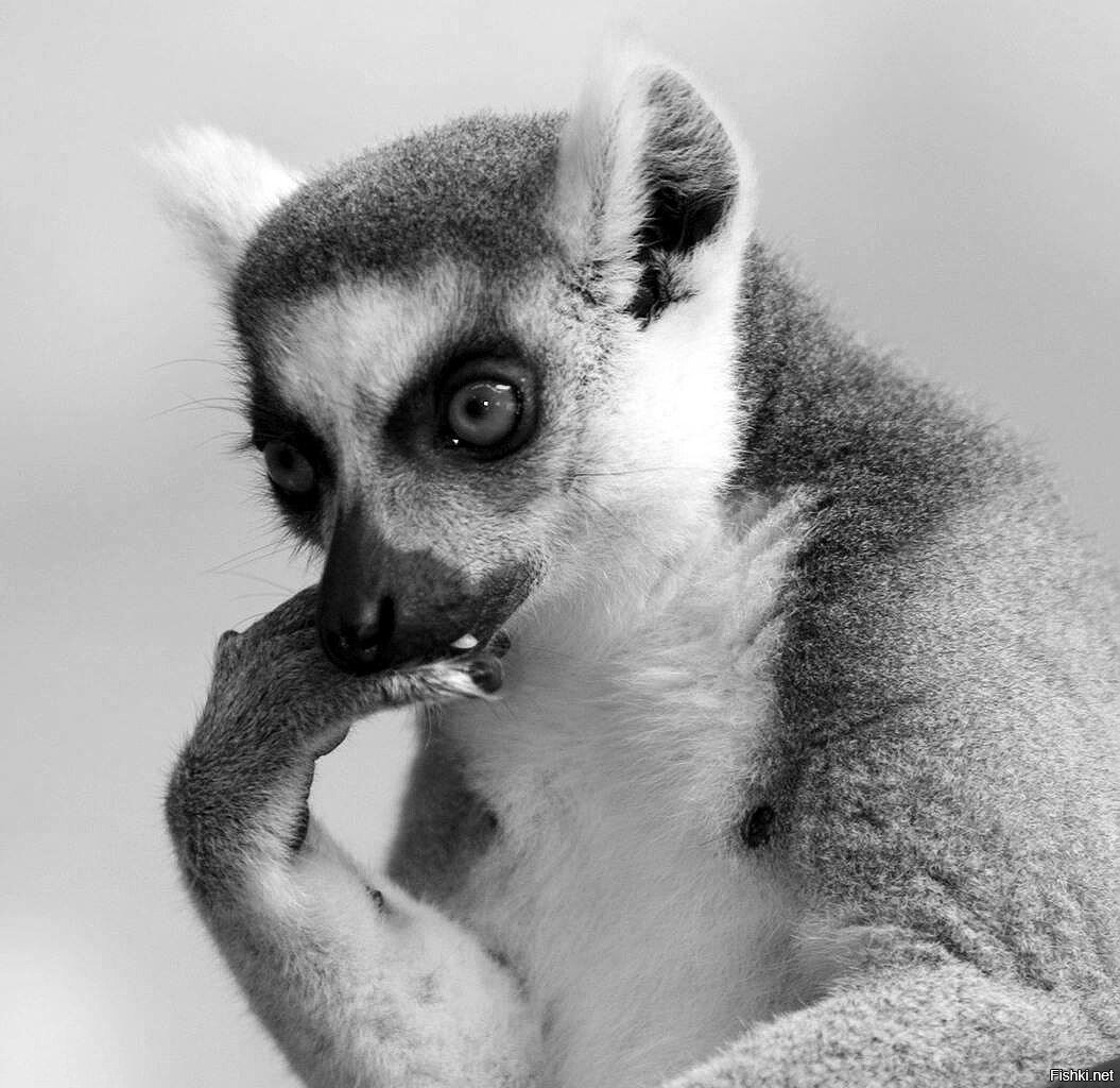 Уже, буквально неделю назад, со всех экранов, на нас хлынули самодельные валетинки, сюрпризы, варианты романтик-ужинов и многое другое. К слову сказать, для некоторых товарищей, которые рассказывают женщинам, об их священном долге соблазнительницы, этот праздник прям жила золотая. Может они его и придумали?
