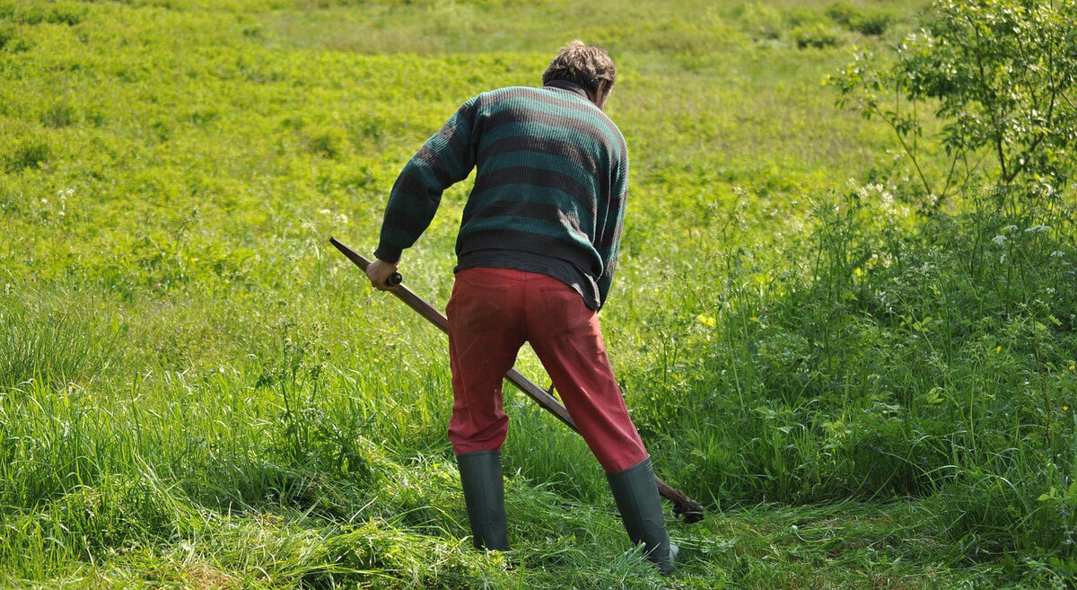 Косил Ясь конюшину.